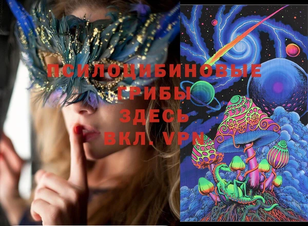 сатива Алексеевка