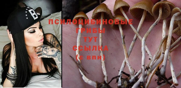 таблы Алзамай