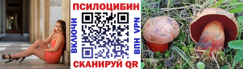 магазин продажи наркотиков  Новопавловск  Псилоцибиновые грибы мухоморы 